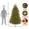 7.5 ft. Pre-lit PowerConnect™ Dunhill® Fir Full Artificial Christmas Tree, Dual Color® LED Lights